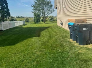Bernice B.'s grass cutting service result