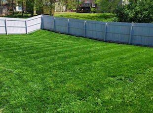 Effie S.'s lawn service service result
