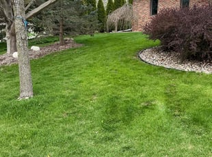 Theresa V.'s grass cutting service result