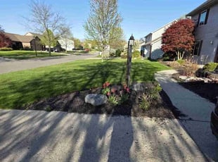 Dahomey R.'s lawn maintenance service result