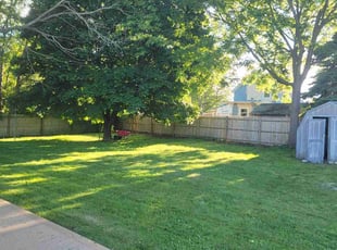 Kaitlyn B.'s lawn maintenance service result