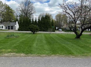 Tiffany H.'s lawn maintenance service result