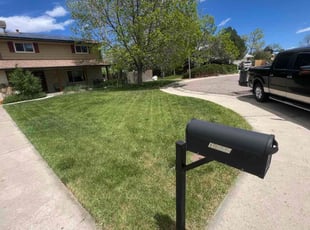 Mary S.'s Long Grass Cleanup service result