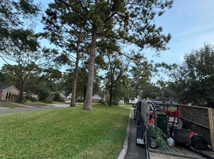 Phillip M.'s grass maintenance service result