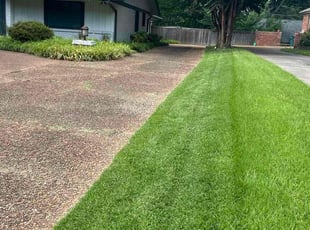 Keith P.'s landscaping service result