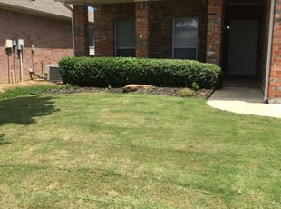 John W.'s Bush Trimming service result