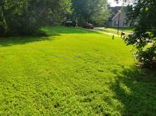 Sharolyn G.'s turf maintenance service result