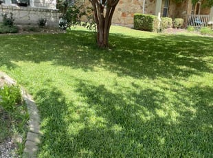 Diane M.'s lawn care service result