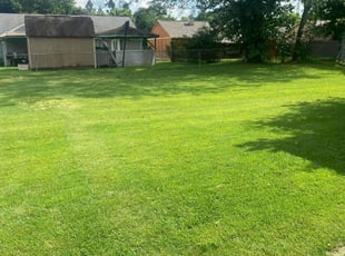 Robert T.'s lawn care service result