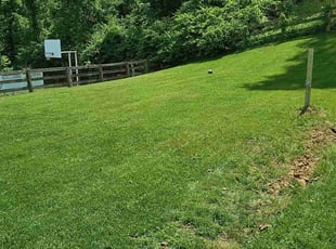 Michelle p.'s lawn service service result