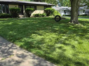 Xihong Y.'s grass cutting service result