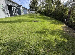 Patty M.'s lawn maintenance service result