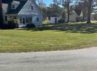 Gregg F.'s lawn care service result
