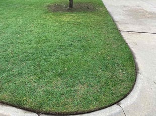 George P.'s lawn care services service result