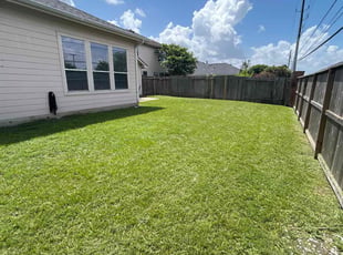 Wendee S.'s turf care service result