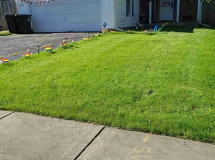 Todd D.'s lawn service service result