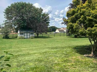 John D.'s grass cutting service result