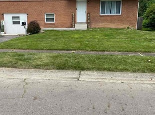 Dr. S.'s lawn care service result