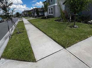 Irene F.'s grass cutting service result