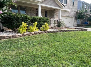 Ruben D.'s grass maintenance service result