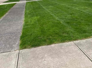 Paulette B.'s lawn maintenance service result