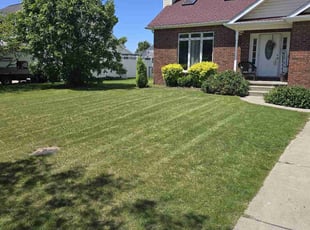 Amy C.'s turf care service result