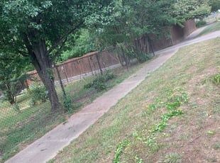Brian C.'s Bush Trimming service result