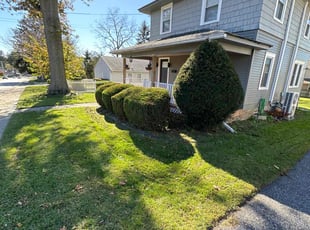 Tyler G.'s Bush Trimming service result