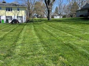 Paula G.'s lawn care services service result