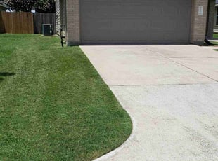 Michael M.'s turf care service result