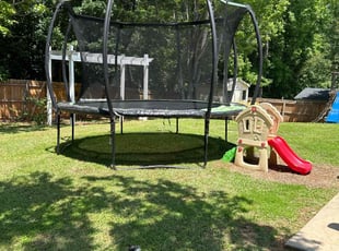 Marcia S.'s lawn service service result