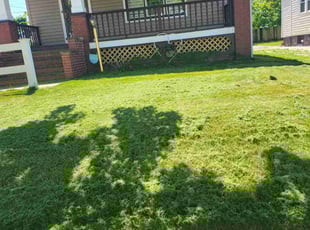 Evelyn C.'s lawn service service result