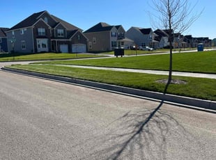 Lindsay R.'s lawn maintenance service result