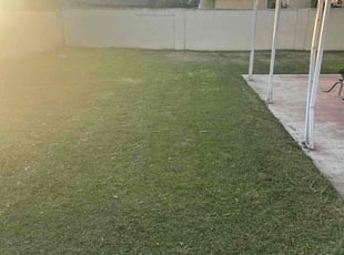 Kevin G.'s lawn care services service result