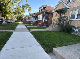 Raj R.'s turf care service result