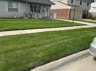 Diane K.'s landscape maintenance service result