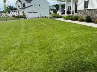 Shakiara M.'s grass cutting service result