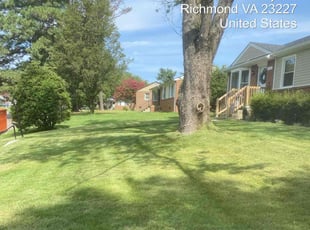 Paul B.'s lawn care service result