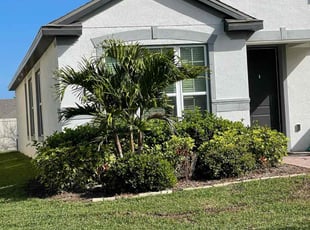 Nakisha W.'s lawn care services service result