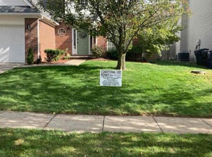 Jeffrey R.'s Leaf Removal service result