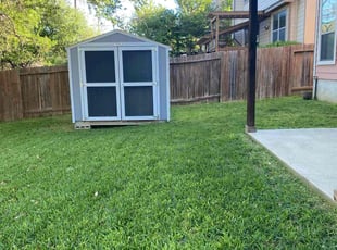 Lin T.'s lawn care service result