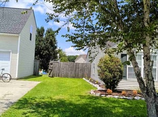 Randy C.'s lawn care service result