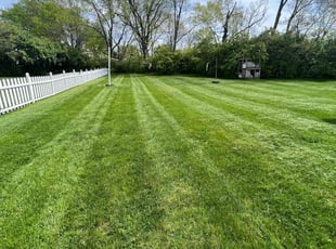 Belinda C.'s lawn service service result