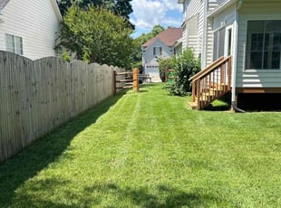 Shari S.'s grass cutting service result