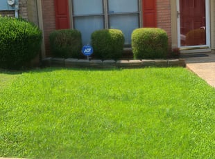 Tammy T.'s Bush Trimming service result