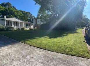 Jesus S.'s turf care service result