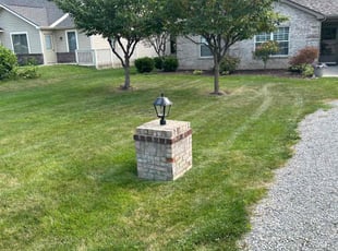 Michael E.'s lawn care service result