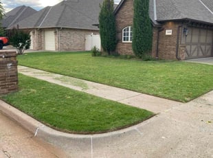 Francisco G.'s lawn care service result