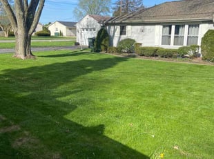 Dani L.'s landscaping services service result