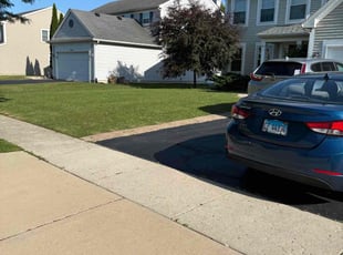 Gisel G.'s turf care service result